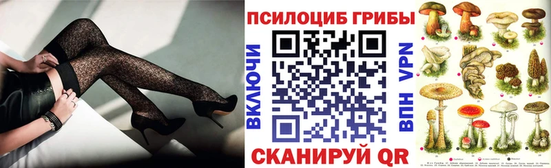 Галлюциногенные грибы Psilocybe  Купить  Вуктыл 